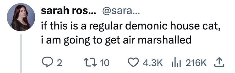 sarah ros... @sara... if this is a regular demonic house cat, i am going to get air marshalled ○ 2 10 4.3K 216K 1
