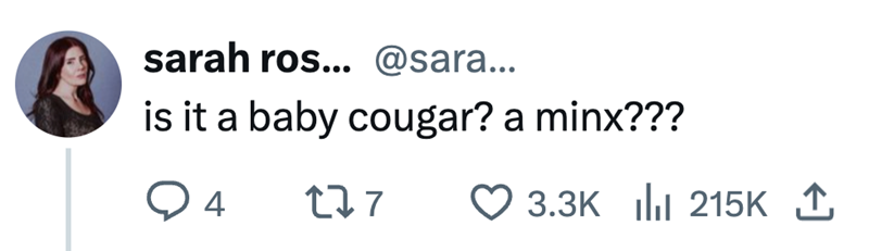 sarah ros... @sara... is it a baby cougar? a minx??? 4 277 3.3K 215K