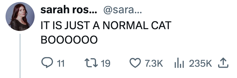 sarah ros... @sara... IT IS JUST A NORMAL CAT BOOOOOO Q 11 119 7.3K 235K