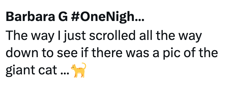Barbara G #OneNigh... The way I just scrolled all the way down to see if there was a pic of the giant cat...