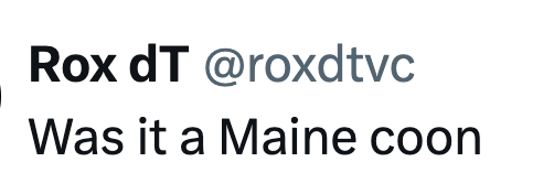 Rox dT @roxdtvc Was it a Maine coon