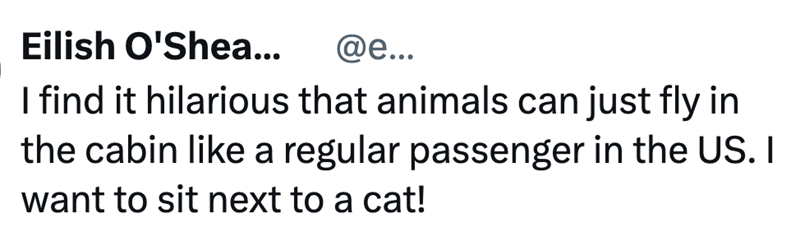 Eilish O'Shea... @e... I find it hilarious that animals can just fly in the cabin like a regular passenger in the US. I want to sit next to a cat!