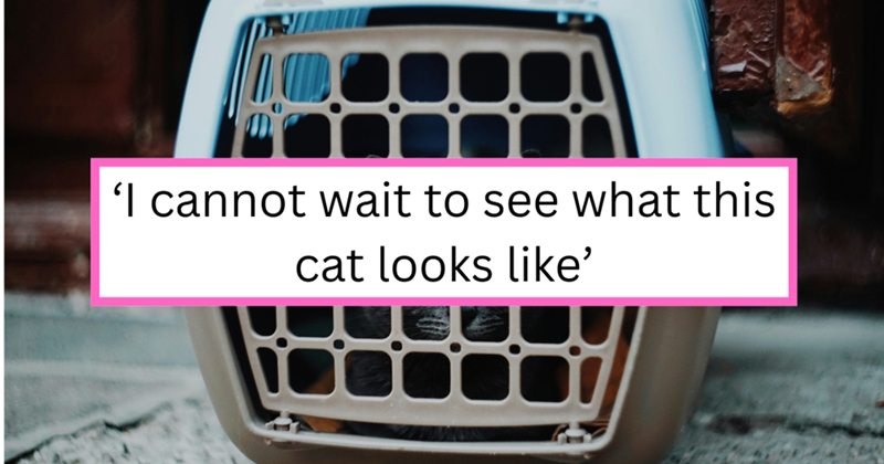 'I cannot wait to see what this cat looks like'