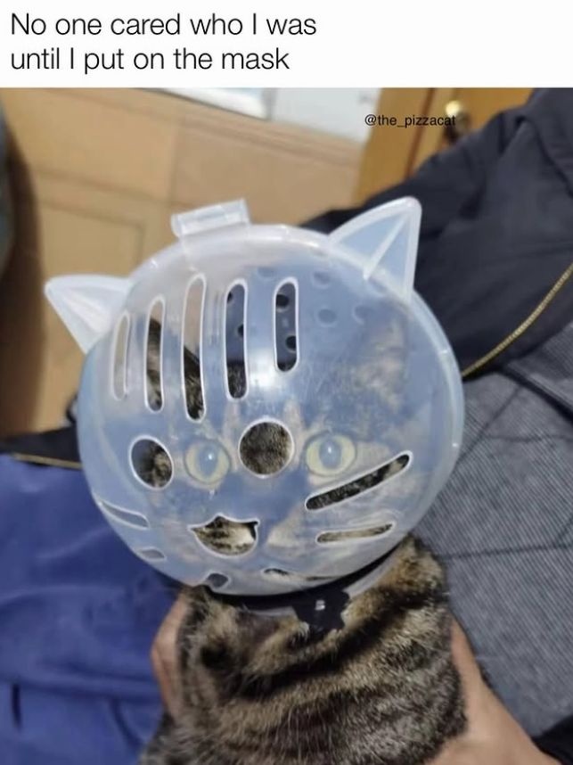 No one cared who I was until I put on the mask @the_pizzacat