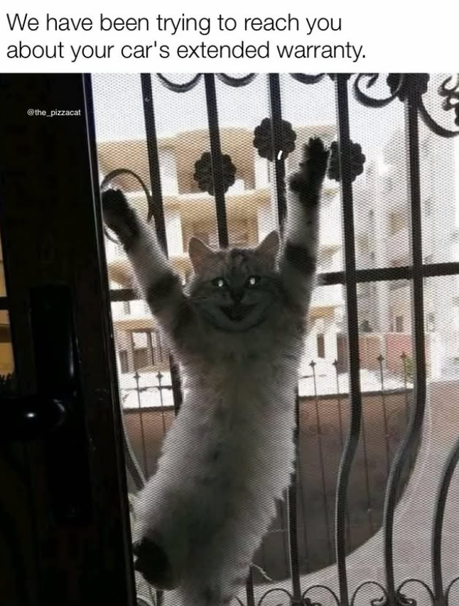 We have been trying to reach you about your car's extended warranty. @the_pizzacat