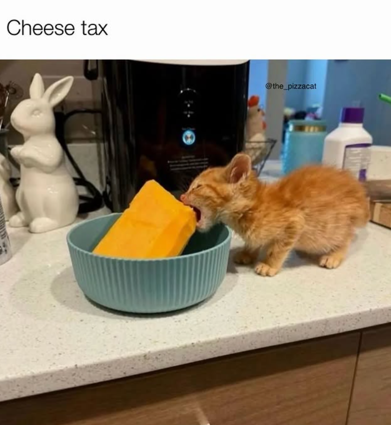 Cheese tax @the_pizzacat