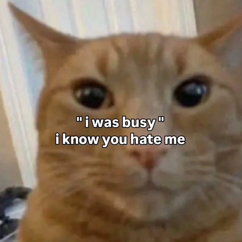 "i was busy" i know you hate me