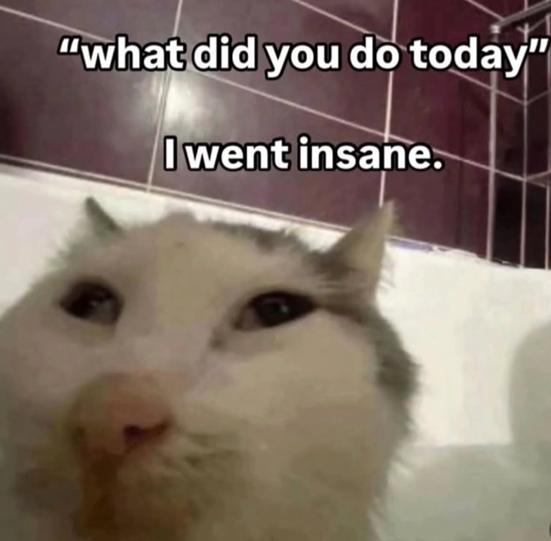 "what did you do today" I went insane.