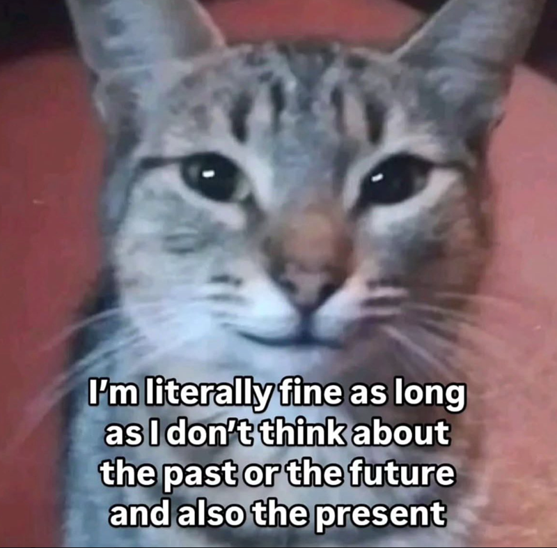 I'm literally fine as long as I don't think about the past or the future and also the present
