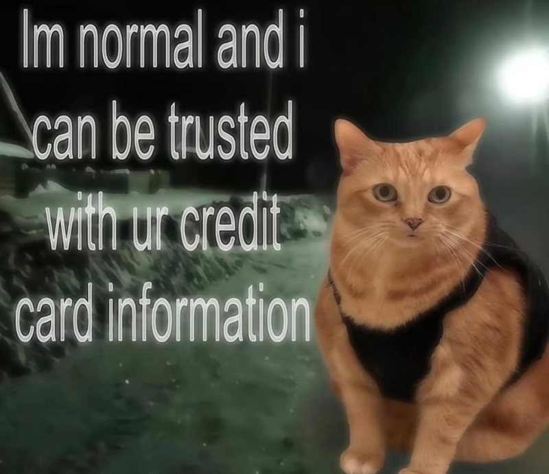 Im normal and i can be trusted with ur credit card information