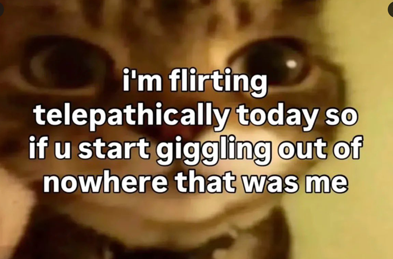 i'm flirting telepathically today so if u start giggling out of nowhere that was me