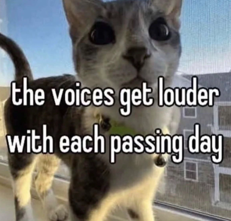 the voices get louder with each passing day