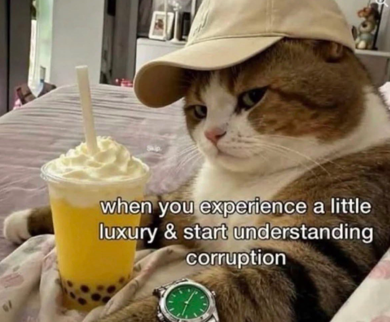 when you experience a little luxury & start understanding corruption