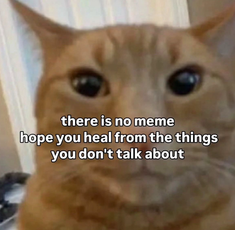 there is no meme hope you heal from the things you don't talk about
