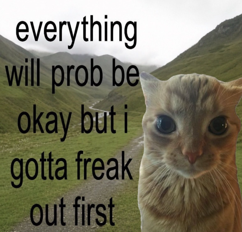 everything will prob be okay but i gotta freak out first