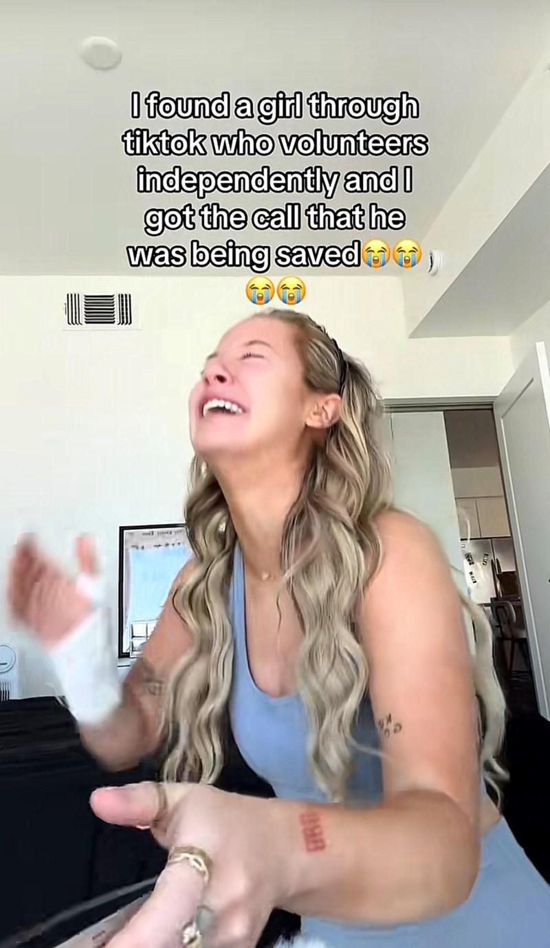 I found a girl through tiktok who volunteers independently and I got the call that he was being saved 898