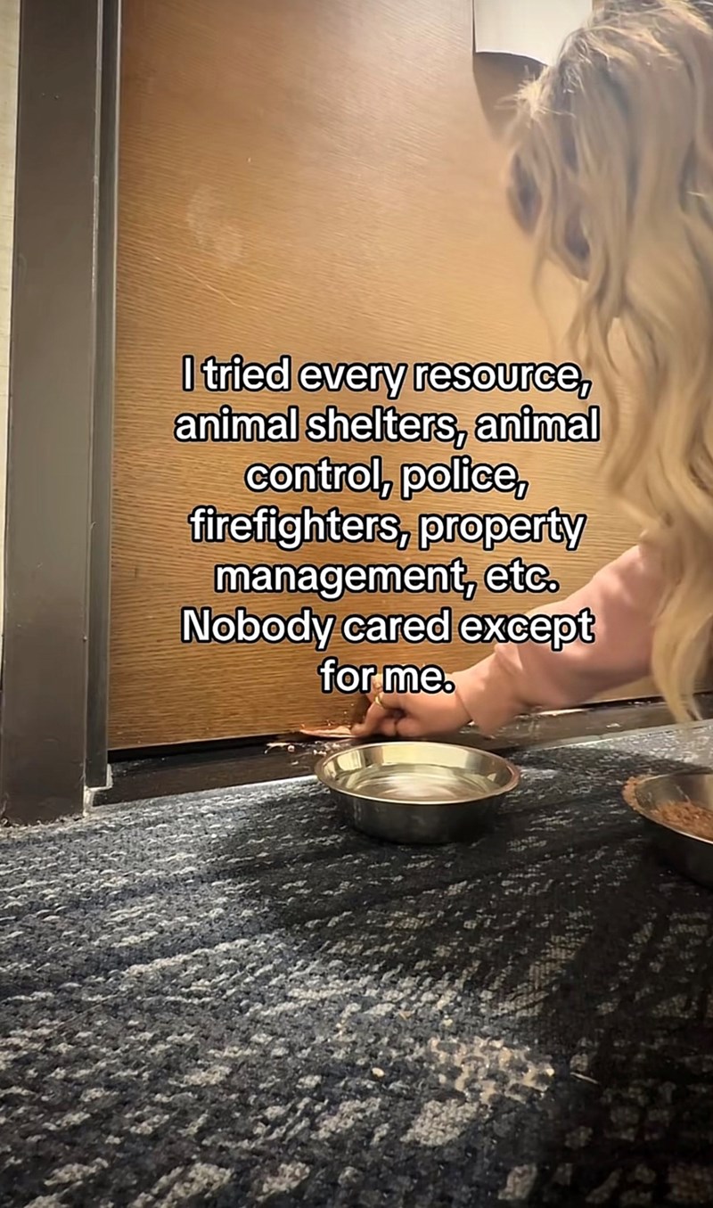 I tried every resource, animal shelters, animal control, police, firefighters, property management, etc. Nobody cared except for me.