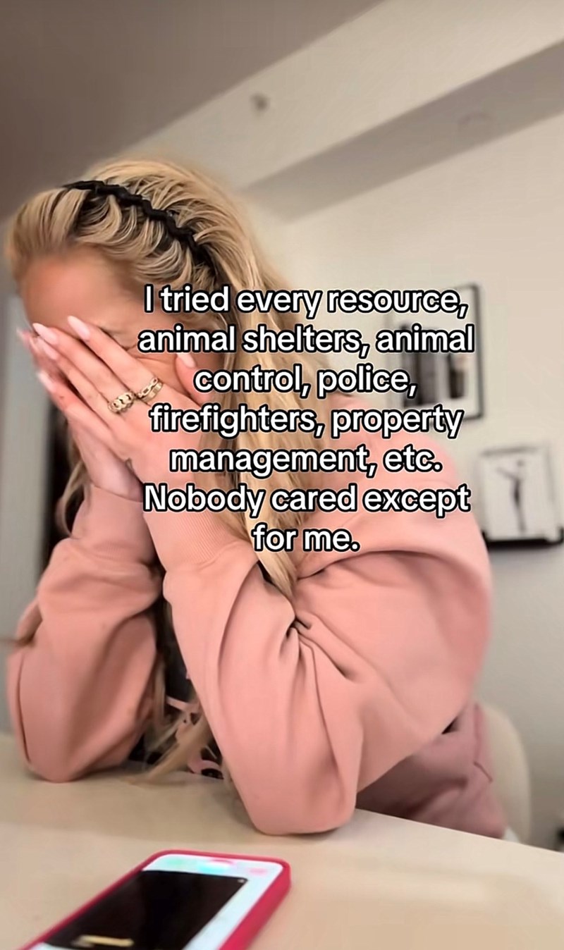 I tried every resource, animal shelters, animal control, police, firefighters, property management, etc. Nobody cared except for me.
