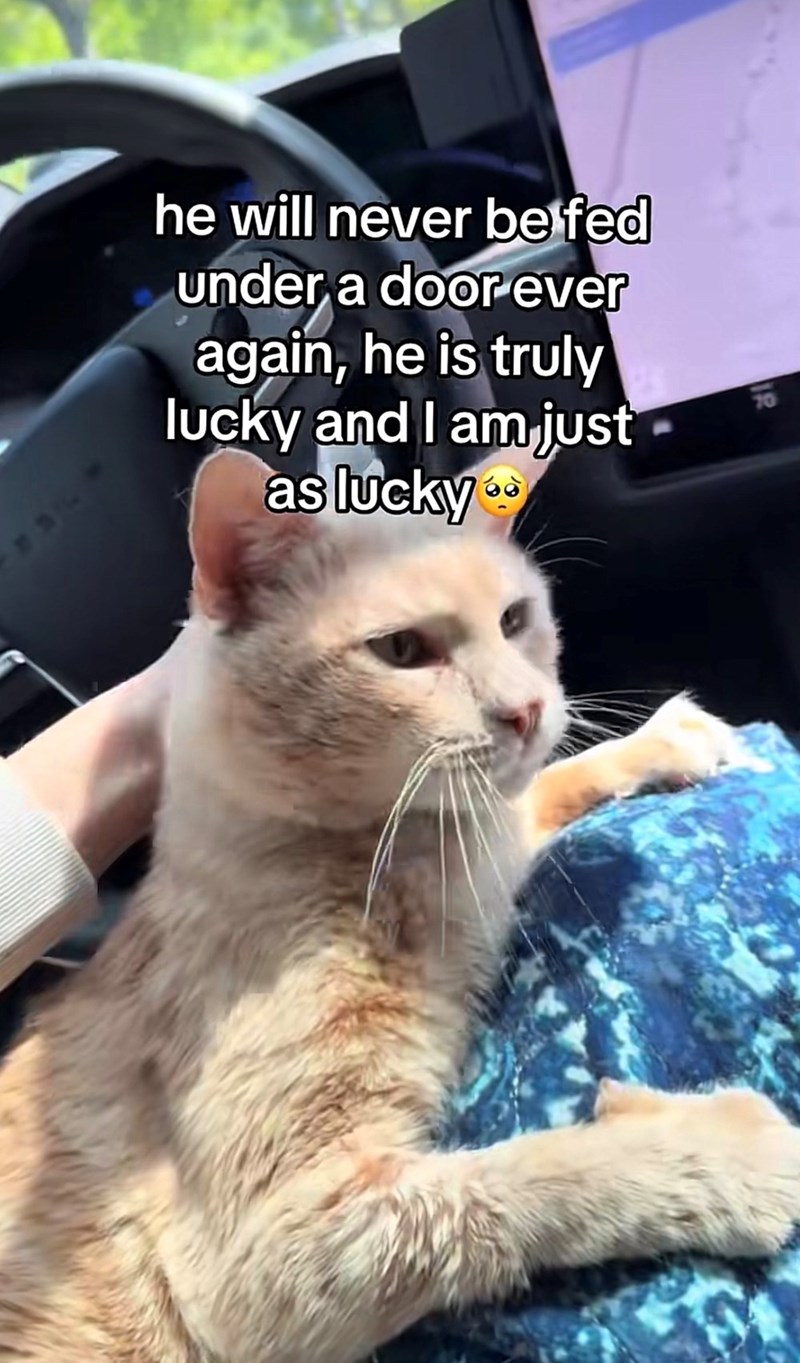 he will never be fed under a door ever again, he is truly lucky and I am just as lucky 70