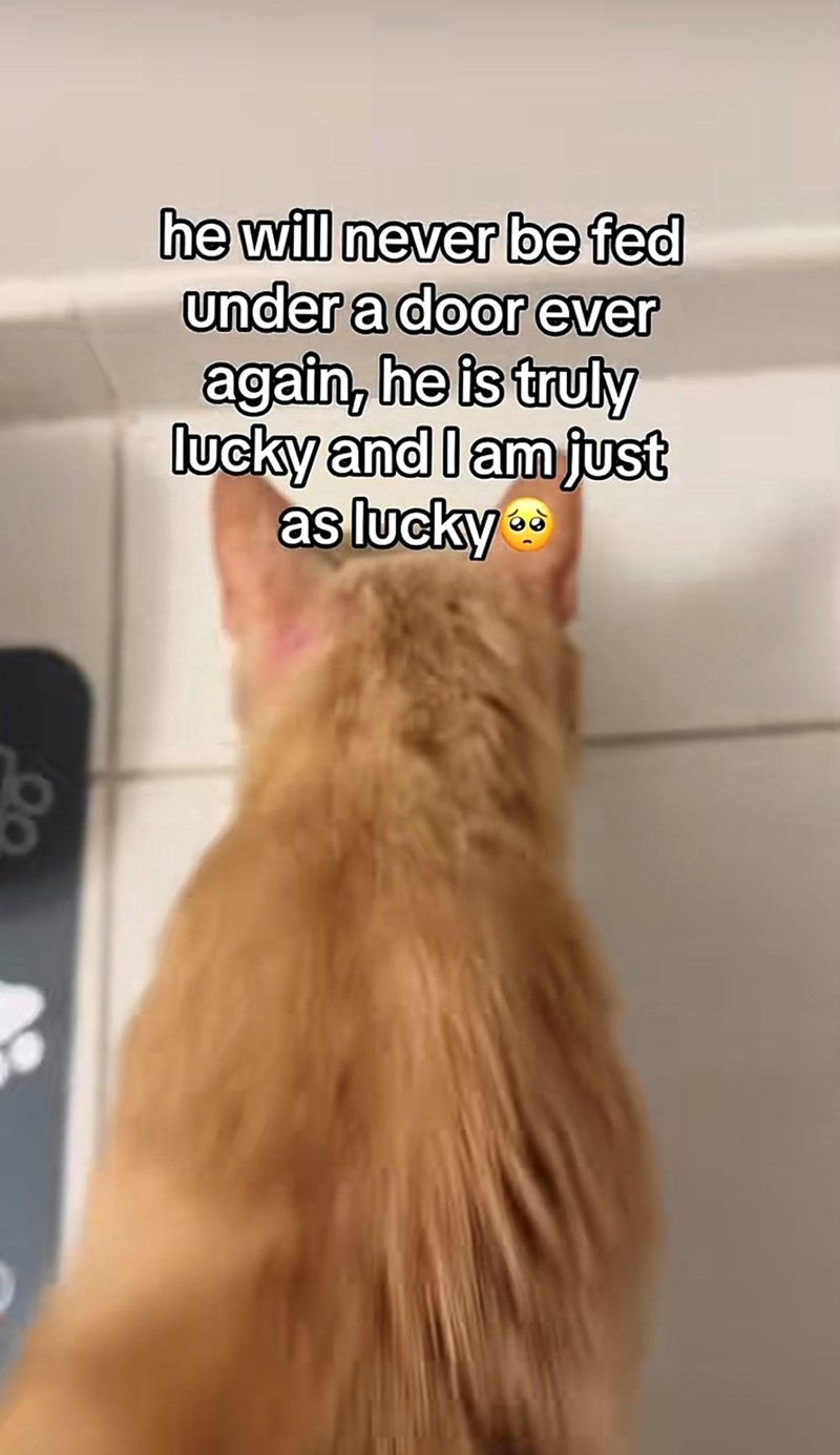 he will never be fed under a door ever again, he is truly lucky and I am just as lucky **