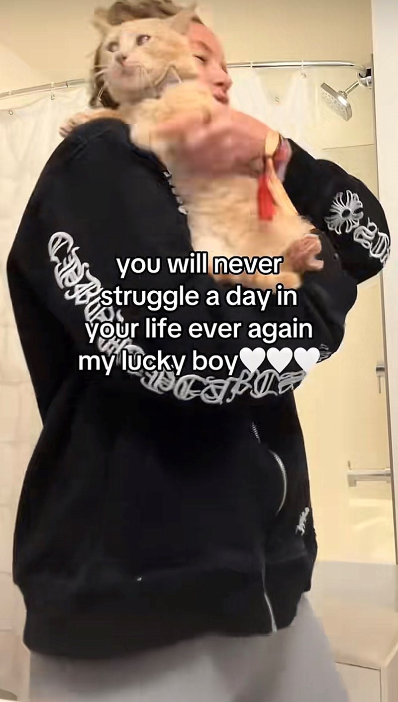 0 you will never struggle a day in Your life ever again my lucky boy