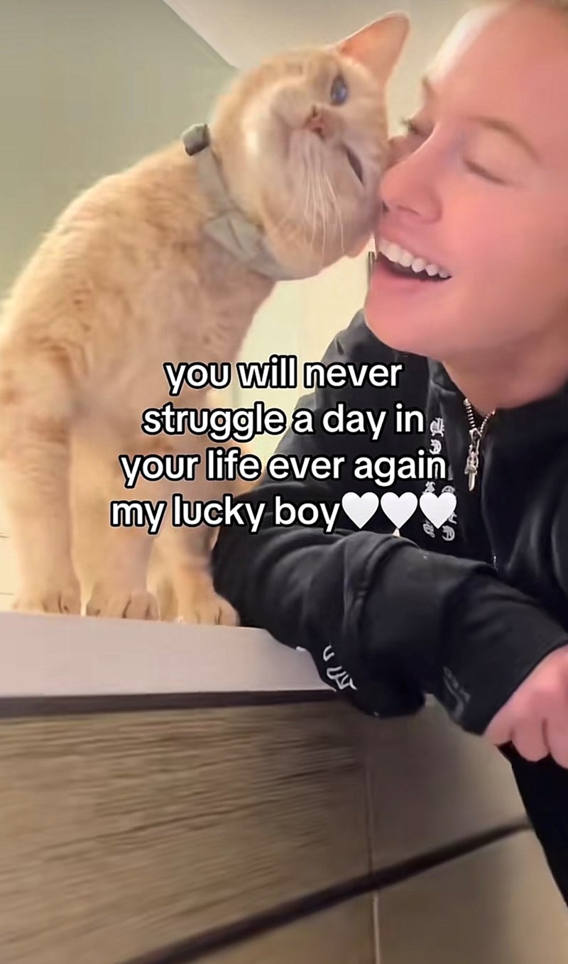 you will never struggle a day in your life ever again my lucky boy