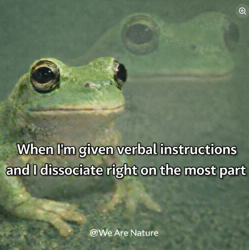 When I'm given verbal instructions and I dissociate right on the most part We Are Nature