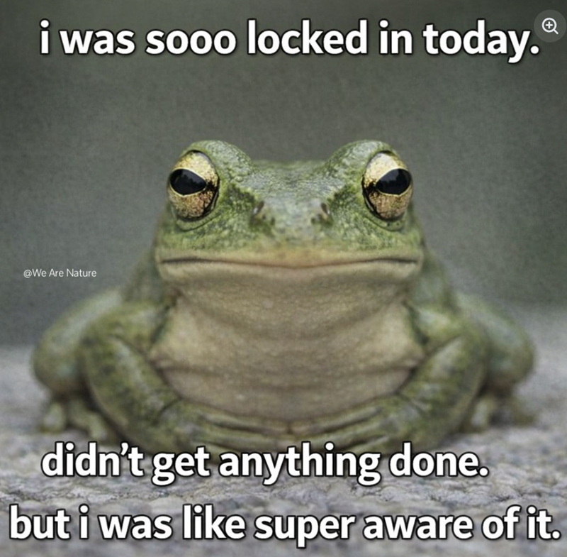 i was sooo locked in today.Ⓡ @We Are Nature didn't get anything done. but i was like super aware of it.