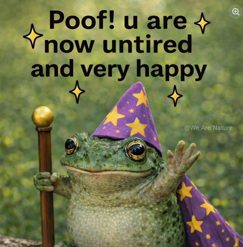 Poof! u are now untired and very happy @We Are Nature