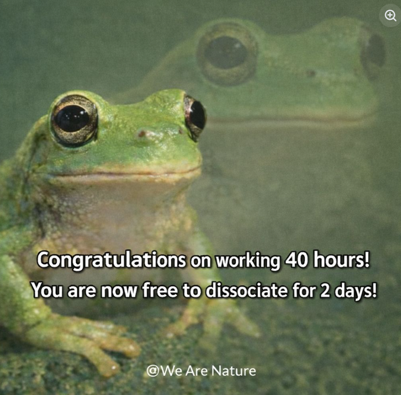 Congratulations on working 40 hours! You are now free to dissociate for 2 days! @We Are Nature