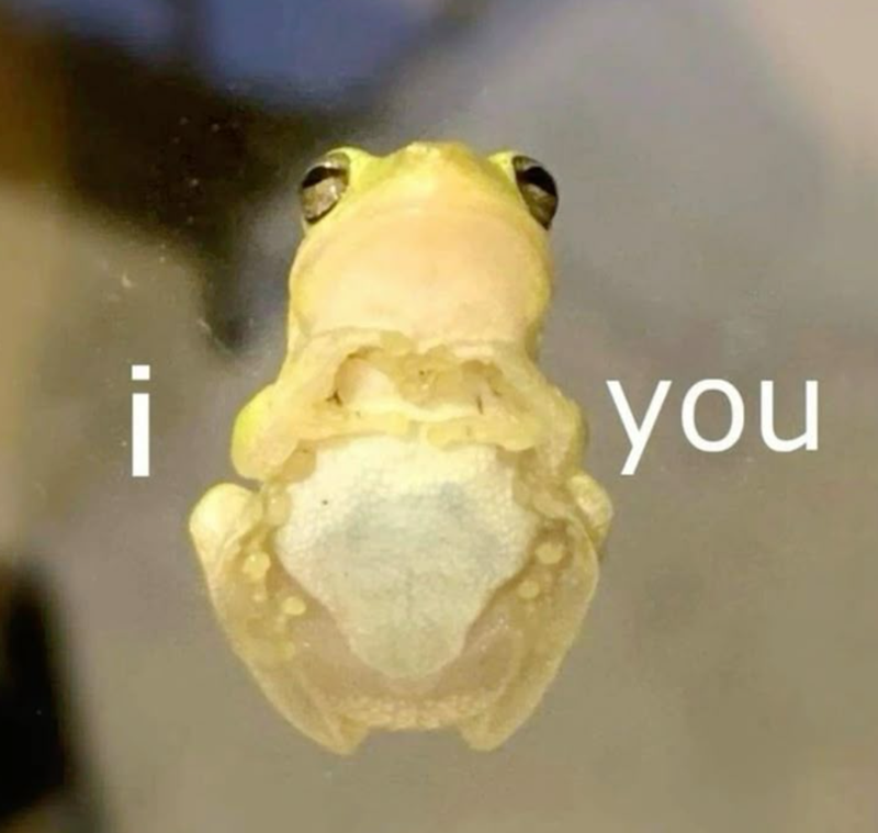 you