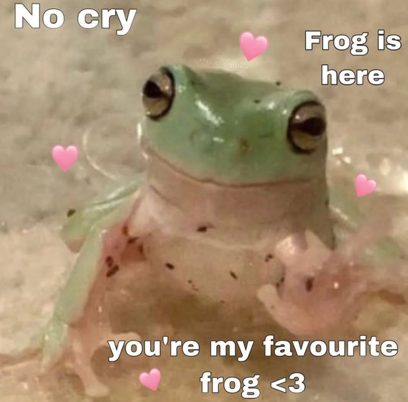 No cry stroghalpline Frog is here you're my favourite frog <3