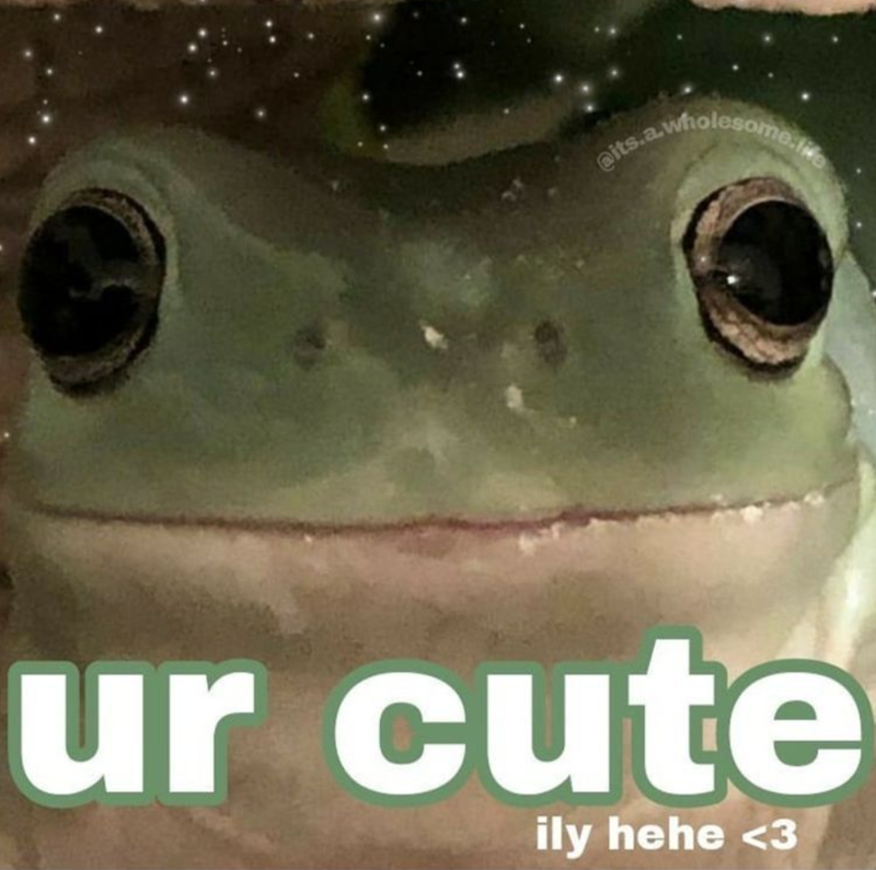 @its.a.wholesome.life ur cute ily hehe <3