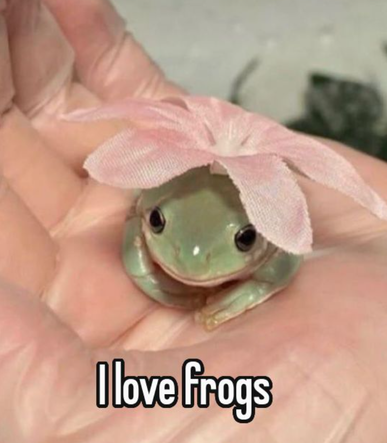 I love frogs