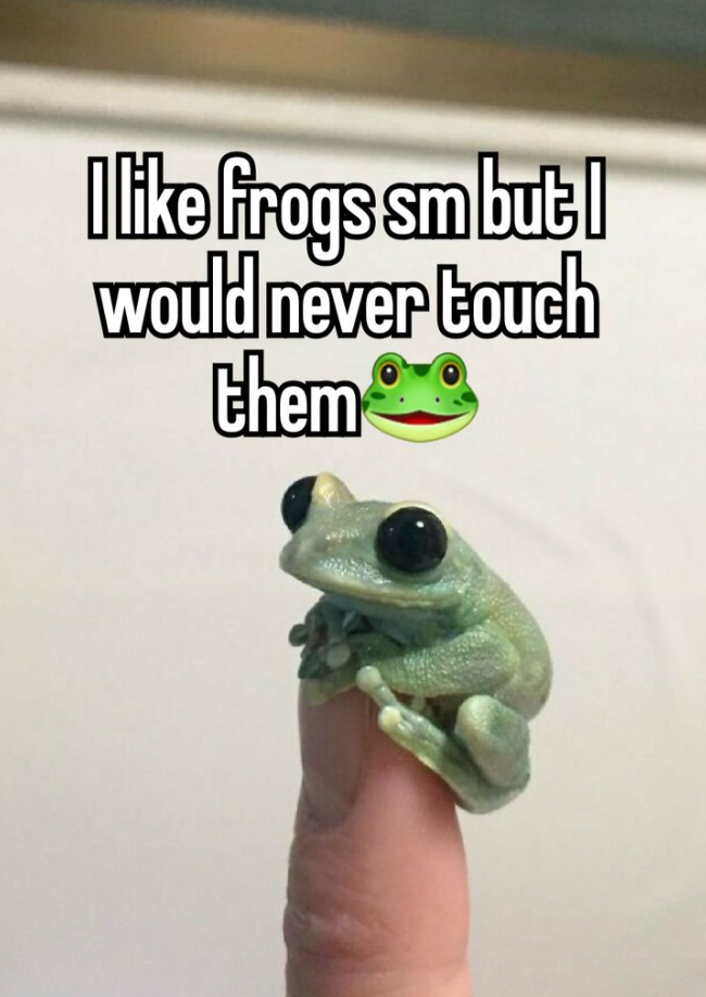I like frogs sm but I would never touch them