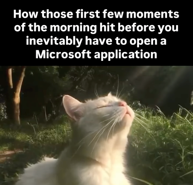 How those first few moments of the morning hit before you inevitably have to open a Microsoft application