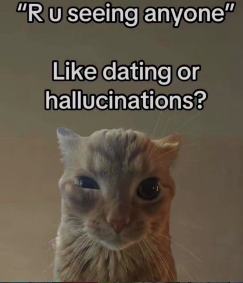 "R U seeing anyone" Like dating or hallucinations?