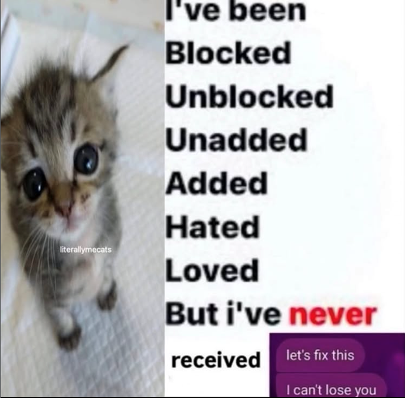 literallymecats I've been Blocked Unblocked Unadded Added Hated Loved But i've never received let's fix this I can't lose you