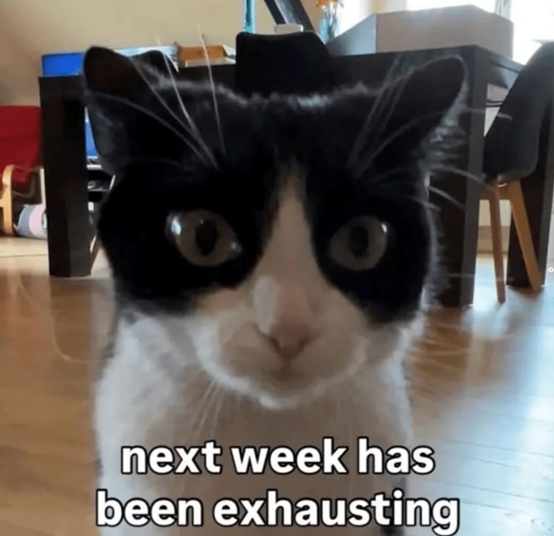 O next week has been exhausting