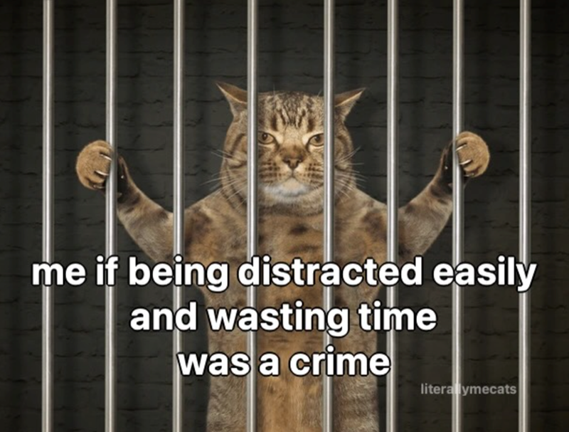 me if being distracted easily and wasting time was a crime literallymecats