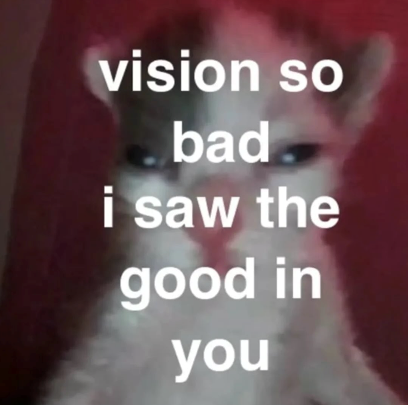 vision so bad i saw the good in you