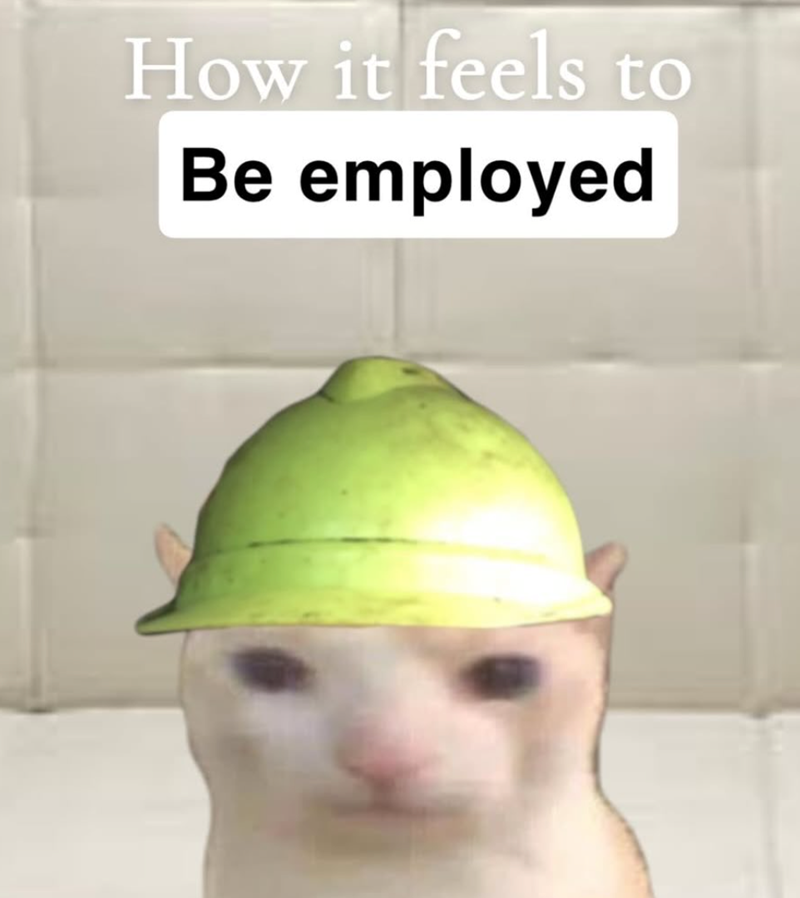 How it feels to Be employed