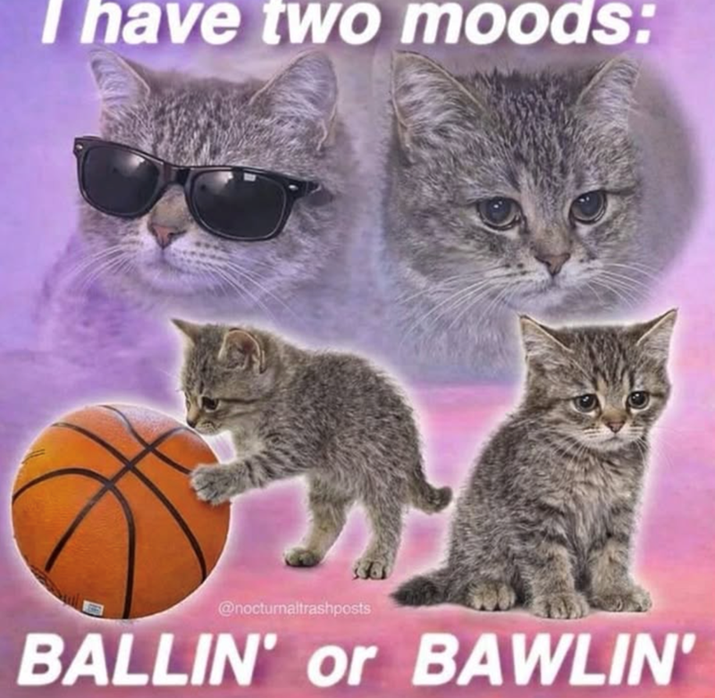 I have two moods: @nocturnaltrashposts BALLIN' or BAWLIN'