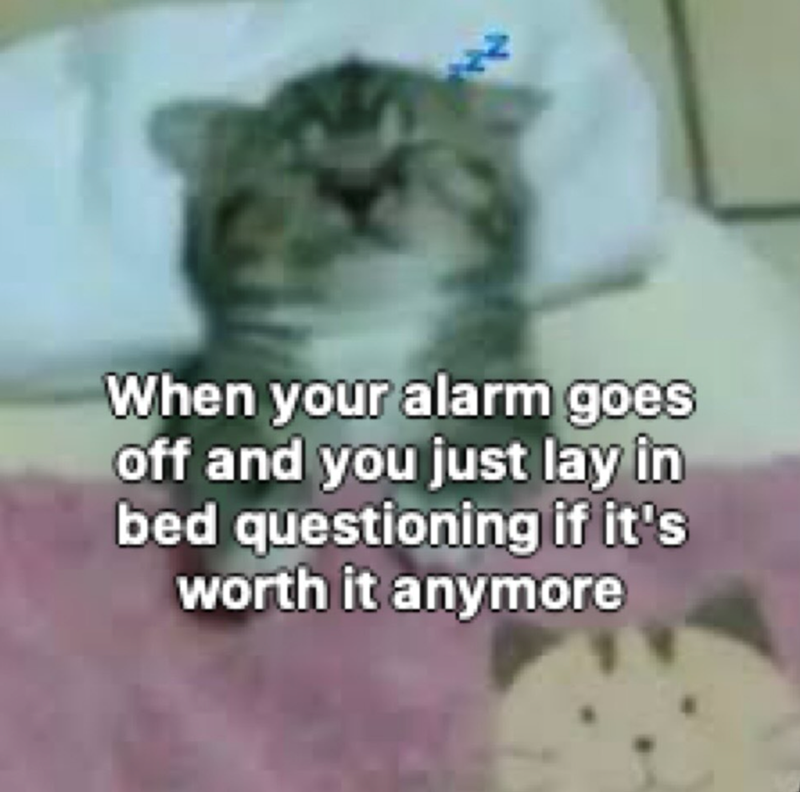 When your alarm goes off and you just lay in bed questioning if it's worth it anymore