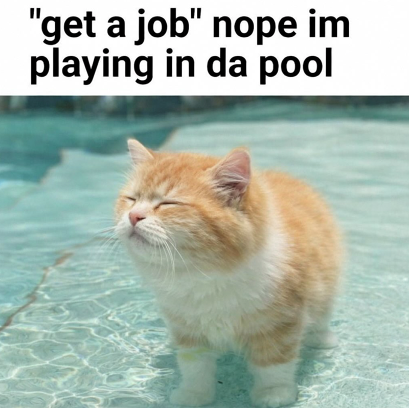"get a job" nope im playing in da pool