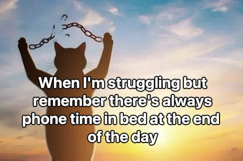 literallymecats When I'm struggling but remember there's always phone time in bed at the end of the day