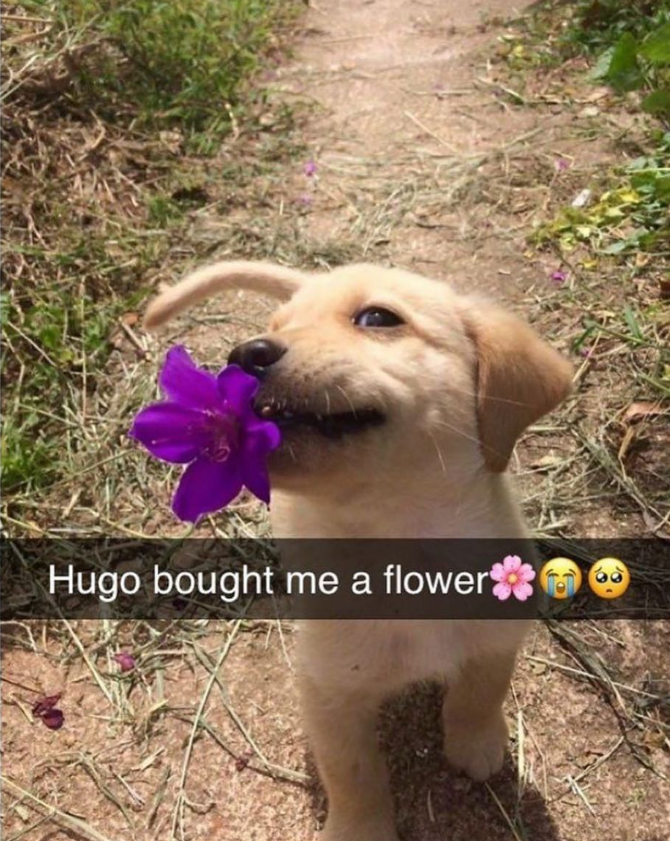 Hugo bought me a flower