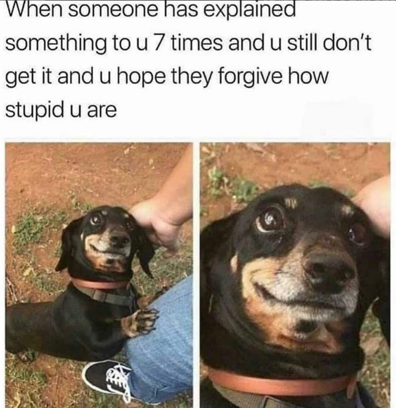 When someone has explained something to u 7 times and u still don't get it and u hope they forgive how stupid u are