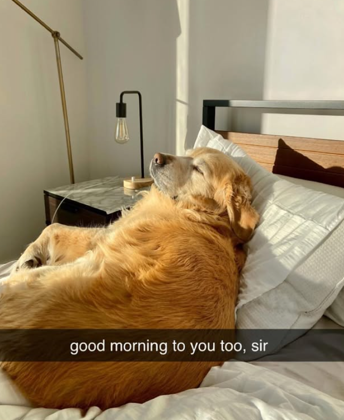 good morning to you too, sir