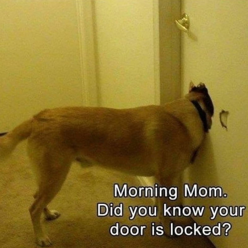 Morning Mom. Did you know your door is locked?